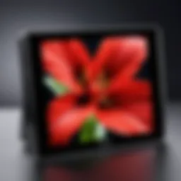 A Comprehensive Guide to the Insignia 10 Digital Photo Frame Introduction