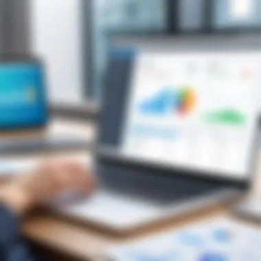 Intuitive Software Usability User-friendly accounting software layout