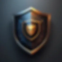 Shield symbolizing protection against malware