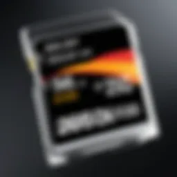 High-performance 256GB SD card showcasing speed capabilities