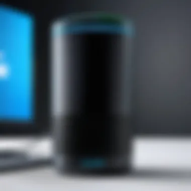 Voice Command Customization Voice command customization options