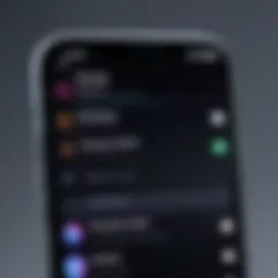 Screenshot of screen recording settings on iPhone 13