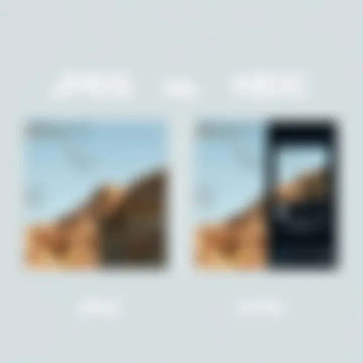 Image Quality Comparison: JPEG vs HEIC Comparison of image quality between formats