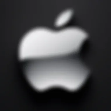 Apple ID Logo Overview Visual representation of the Apple ID logo