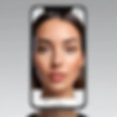 Examining the FaceTime Interface Visual representation of FaceTime interface