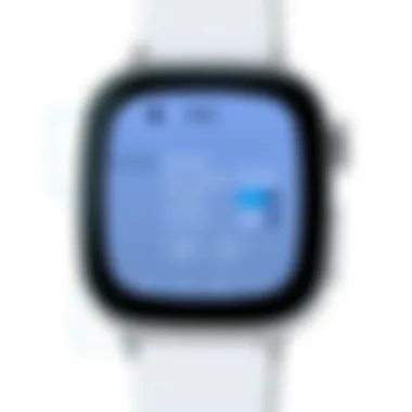 Apple Watch Built-In Customization Options Screenshot of Apple Watch built-in customization options