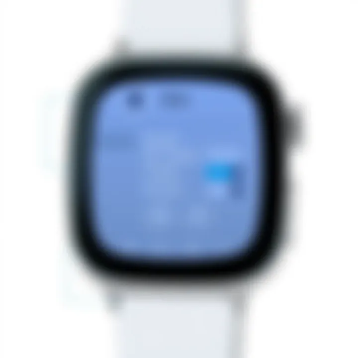 Apple Watch Built-In Customization Options Screenshot of Apple Watch built-in customization options