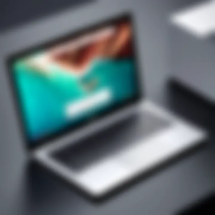 Installation screen for Chromebook OS