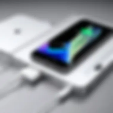 Essential Tools for Cleaning Tools required for cleaning an iPhone charging port