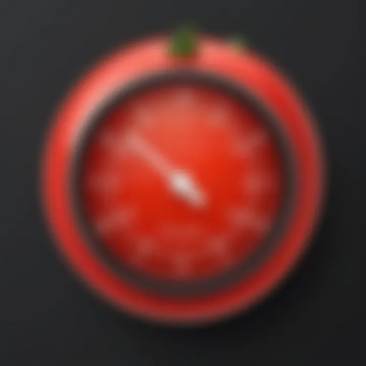 Customizable settings for Pomodoro apps