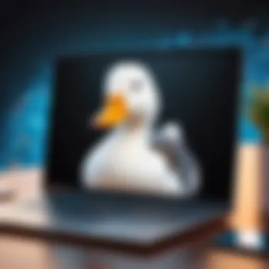 Online Privacy Illustration Illustration of online privacy concept with DuckDuckGo