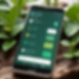 A close-up view of a smartphone displaying a plant identification app interface