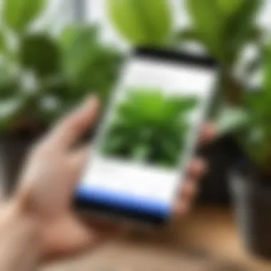 An in-depth look at a user interacting with a plant identification tool