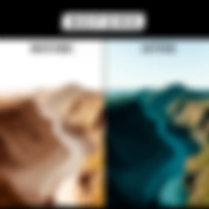 Before and after comparison of a transformed image