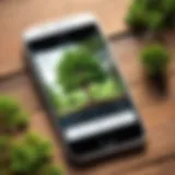 A close-up of a smartphone displaying a tree identification app interface with various tree species.