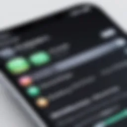 iPhone screen showing recording options