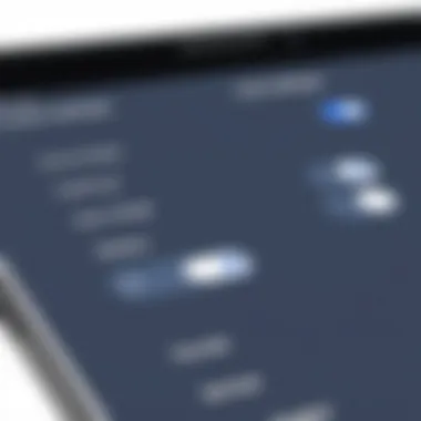 Customizable Settings in eBook Readers Screenshot of an eBook reader with customizable settings