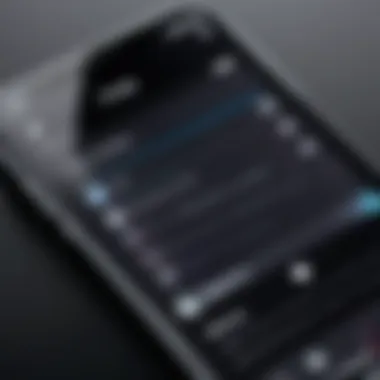 Custom Ringtone Settings on iPhone iPhone screen showcasing ringtone settings