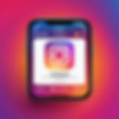 Exploring Instagram Privacy Settings User privacy settings screen on Instagram