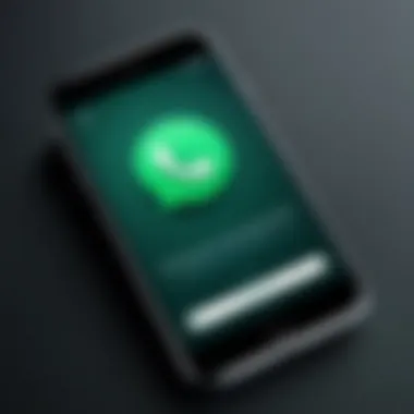 WhatsApp installation screen with progress bar