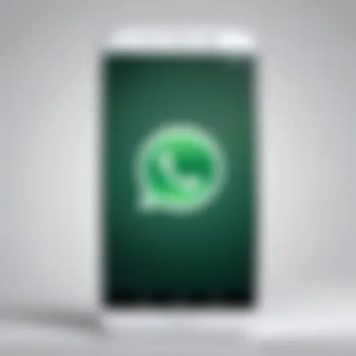 Smartphone displaying WhatsApp logo on screen