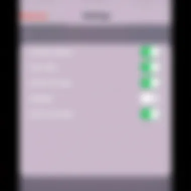 Advanced settings for screen recording on iPhone