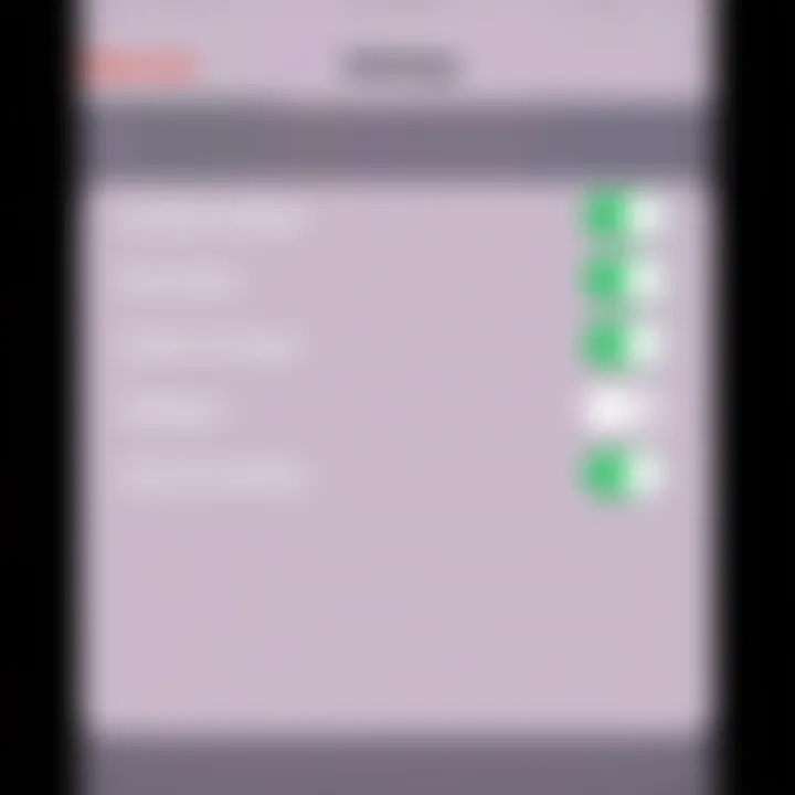Advanced settings for screen recording on iPhone
