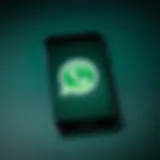 WhatsApp logo on a smartphone screen