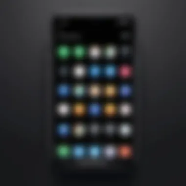Overview of Locked Applications on iPhone iPhone screen with locked apps displayed