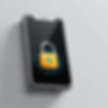 Using Third-Party Apps for Enhanced Security Third-party app interface for locking applications
