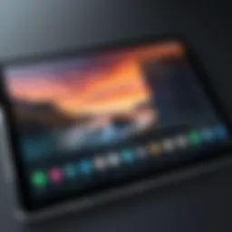 Tablet locked to a single application interface