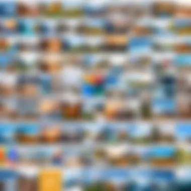 Techniques for Organizing Photos in Google Photos Organizing photos effectively