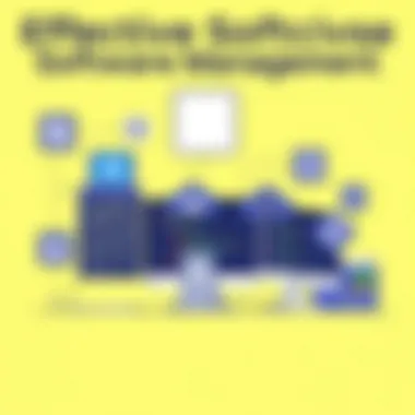 Effective Software Management Visual representation of software management techniques