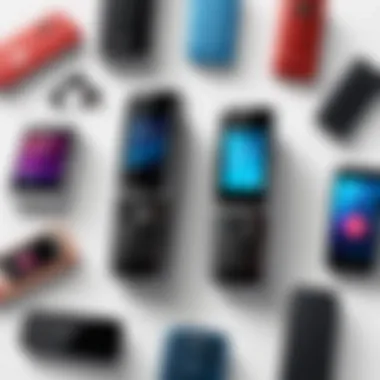 Consumer Preferences for Flip Phones Consumer preferences illustrated through a survey about flip phones