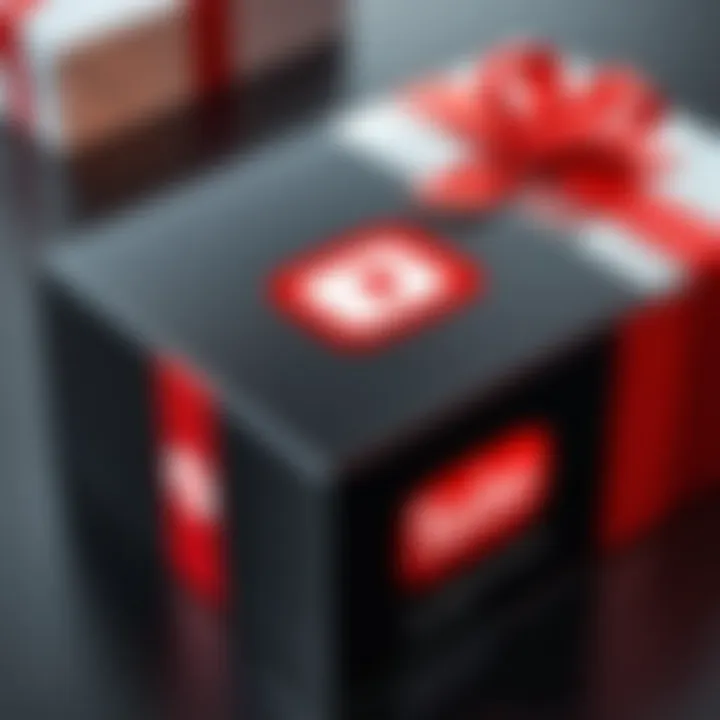 Illustration of the YouTube Premium logo with gift wrapping