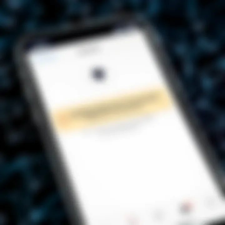 Network connection check on smartphone
