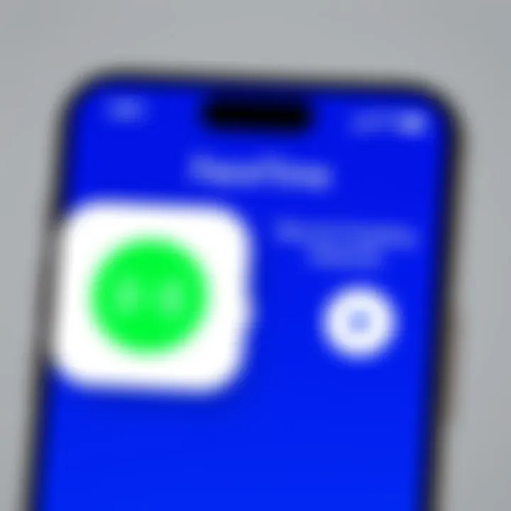 User interface of FaceTime showing the recording option