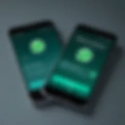 Display of dual WhatsApp accounts on a smartphone