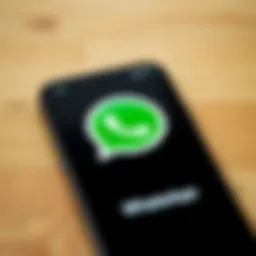 WhatsApp logo on a smartphone screen