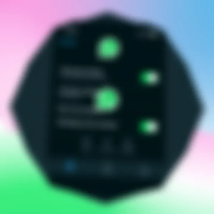 Visual representation of user privacy settings for beauty filters